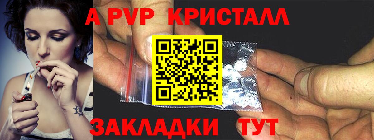 A-PVP СК КРИС Ростов-на-Дону