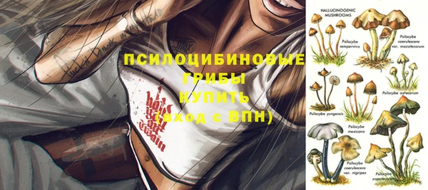 амф Надым