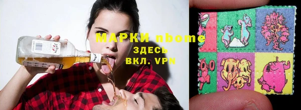 амф Надым
