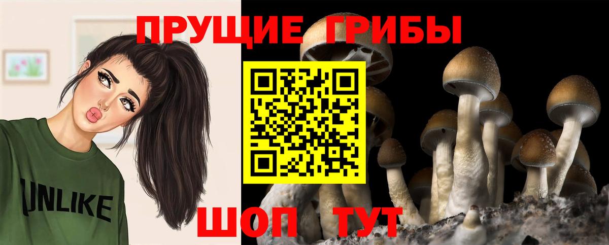 наркота  Псилоцибиновые грибы Cubensis  Ростов-на-Дону  Псилоцибиновые грибы прущие грибы 