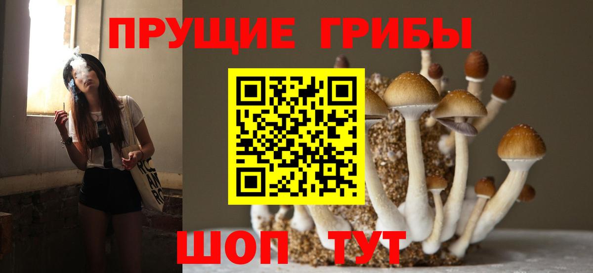 Псилоцибиновые грибы Magic Shrooms  продажа наркотиков  Ростов-на-Дону  Вход с VPN 